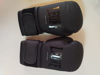 Guantes de boxeo Leone 10oz/M