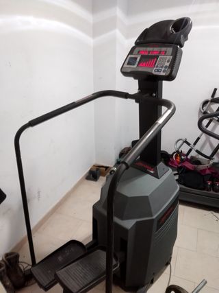 Máquina Step Profesional Life Fitness