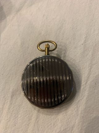 Orologio da tasca con coperchio Jungfrau