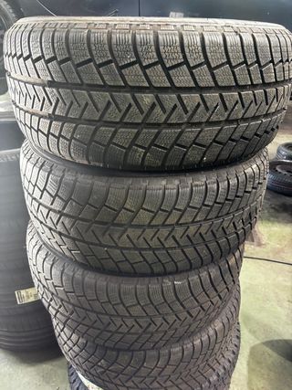 Neumáticos Invierno Michelin Latitude Alpin LA2 25