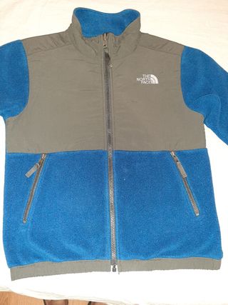 Chaqueta The North Face niño azul/gris