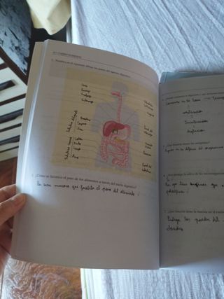 Anatomía y Fisiología Humanas Básicas. Cfgm
