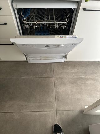 Lavaplatos lavavajilla Indesit