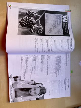 English File, fourth edition, B1