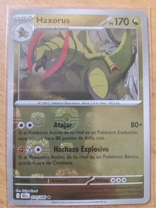 Haxorus Masterball Holo