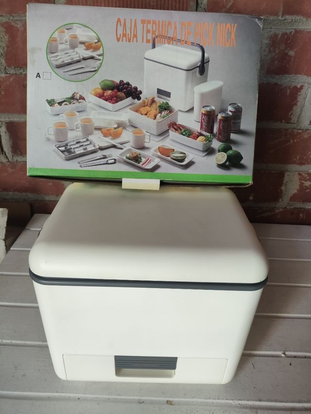 Caja térmica picnic