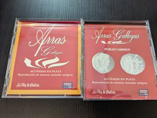 Arras de plata (98,8 gr)