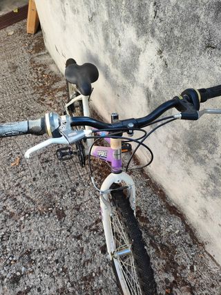 Bicicleta niña 24 pulgadas