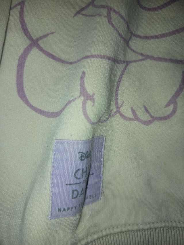 Sudadera Disney Chip Dale Zara Beige
