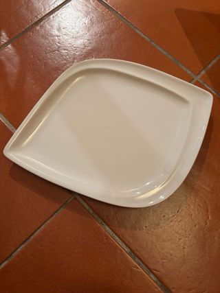 Set 10 piatti grandi porcellana Lioness