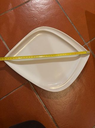 Set 10 piatti grandi porcellana Lioness