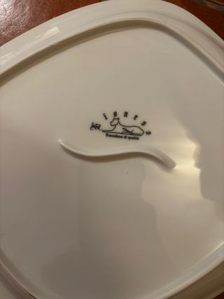 Set 10 piatti grandi porcellana Lioness