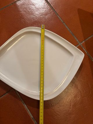 Set 10 piatti grandi porcellana Lioness