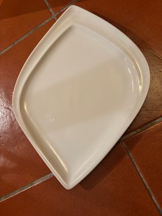 Set 10 piatti grandi porcellana Lioness