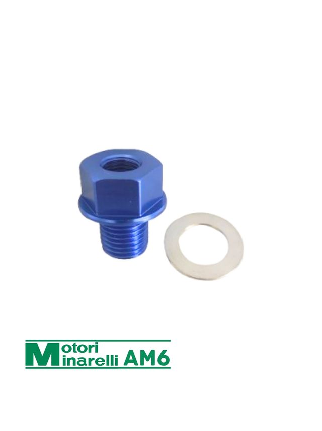 ADAPTADOR SENSOR DE TEMPERATURA MINARELLI AM6