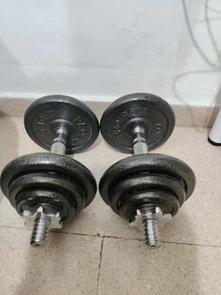 Mancuernas ajustables Proiron 10kg x 2