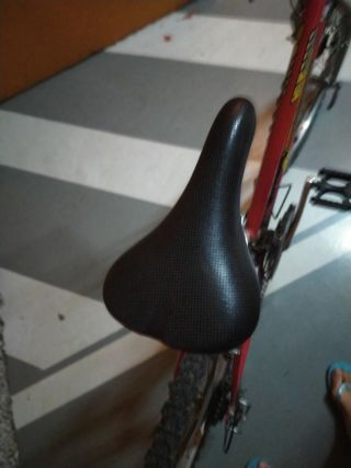 Bicicleta Montaña 24 Pulgadas Roja