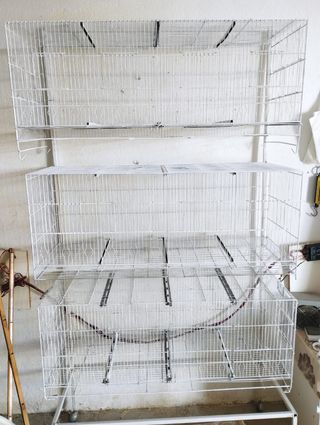 Gabbie bianche per uccelli - 20€ ciascuna
