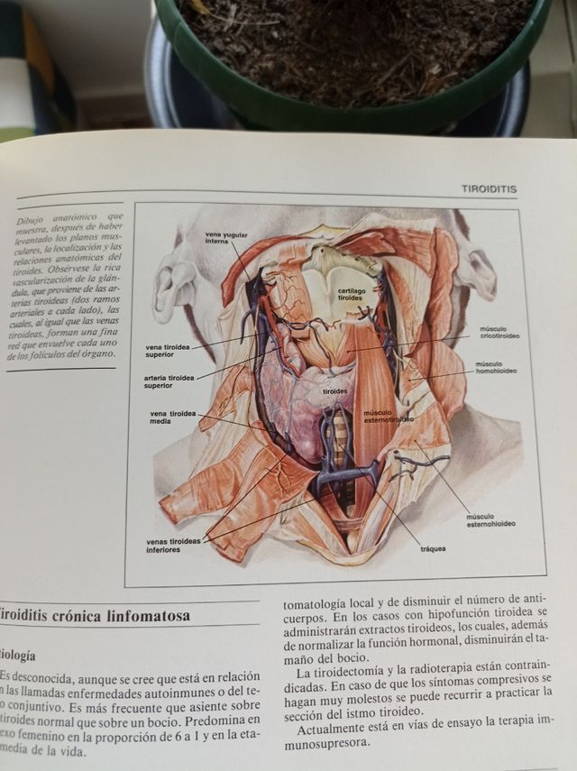 Enciclopedia práctica de Enfermería