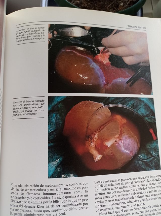 Enciclopedia práctica de Enfermería