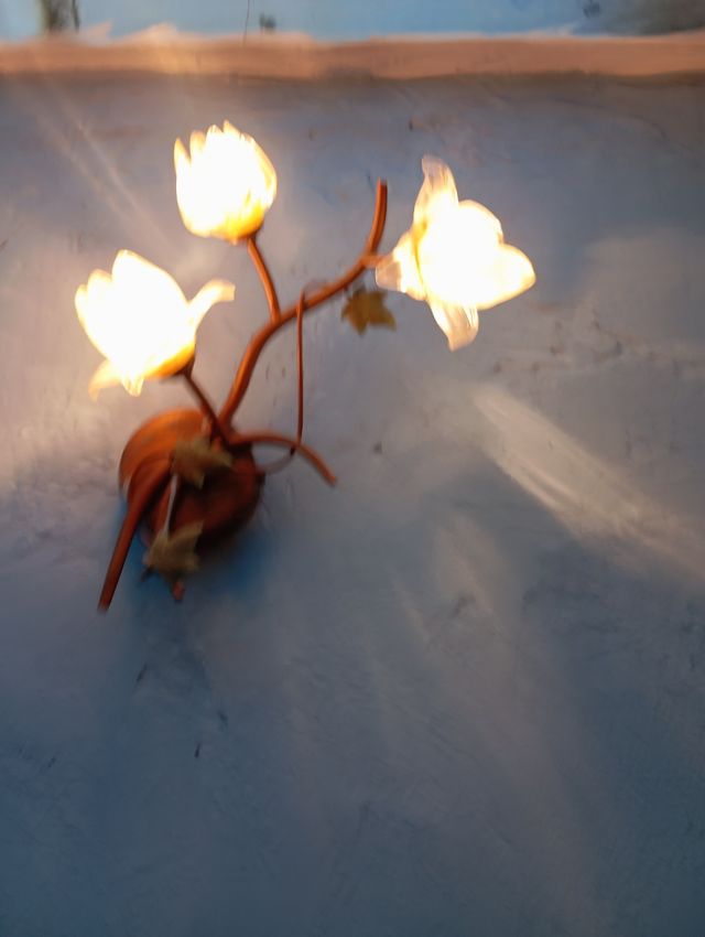 Lámparas de pared y de techo