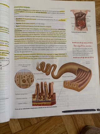 Biología y Geología 3º ESO. Libro del estudiant...
