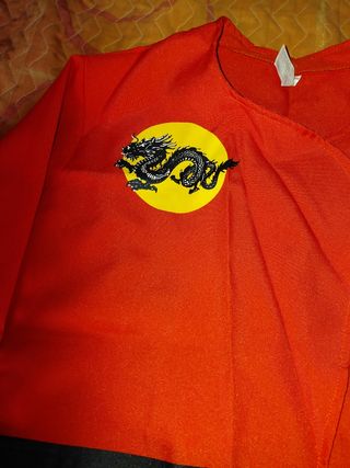 Disfraz China/Japonesa