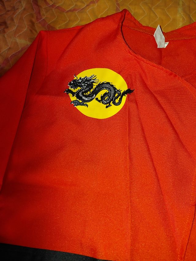 Disfraz China/Japonesa