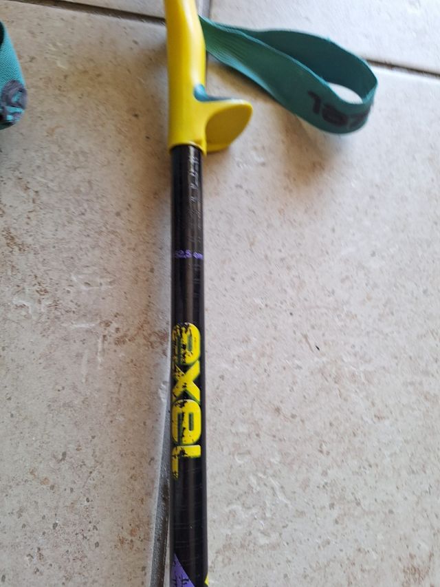 Atomic Worldcup Skate 184 cm sci fondo