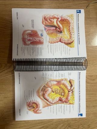 Atlas Anatomía