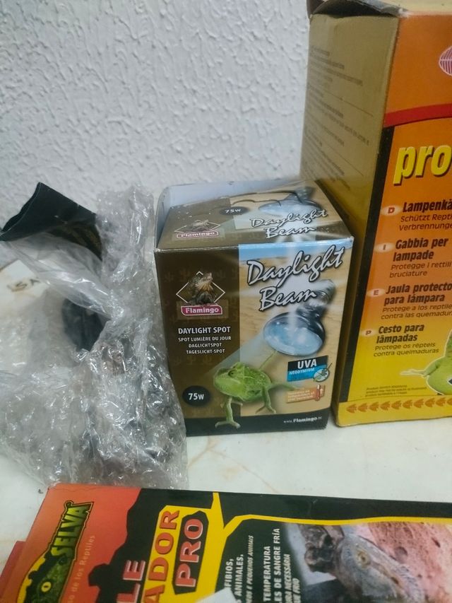 Diversos para terrario