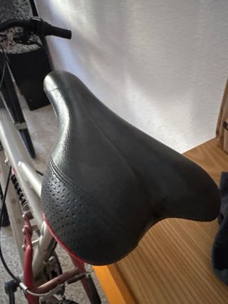 Bicicleta d Montaña Aluminio7005
80FS