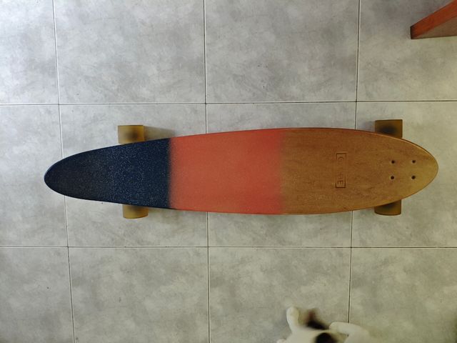 Longboard Globe con uso