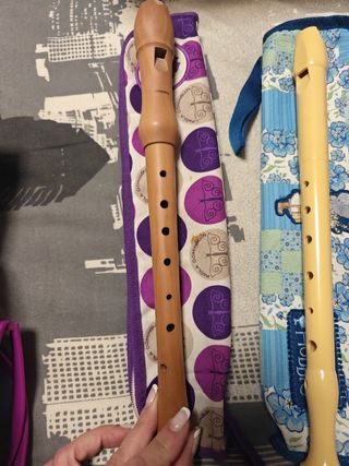 Flauta escolar con funda y limpiador