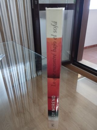 Lo que encontré bajo el sofá