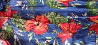 Camisa Estampada Flores Azul y Rojo