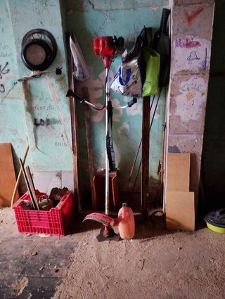 Desbrozadora a gasolina