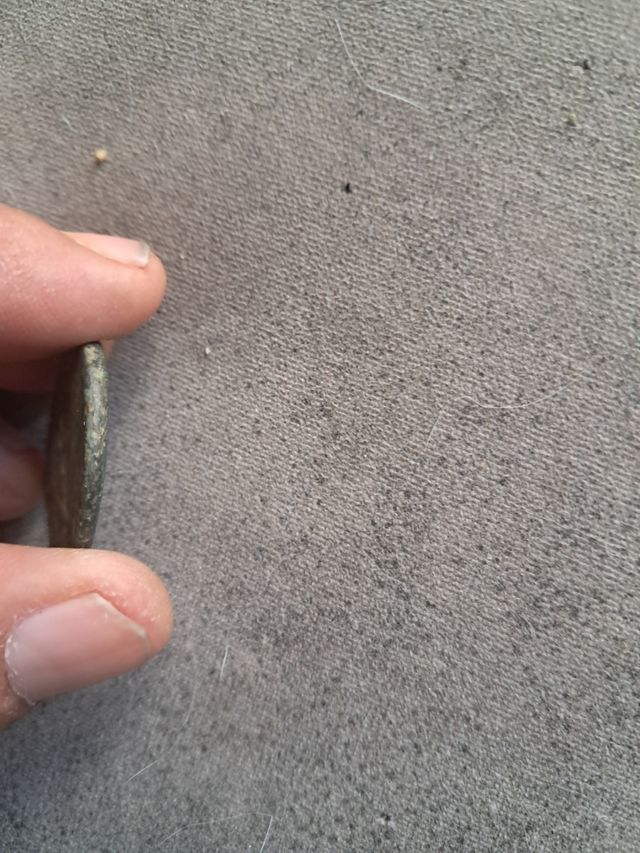 As de Calagurris época Tiberio