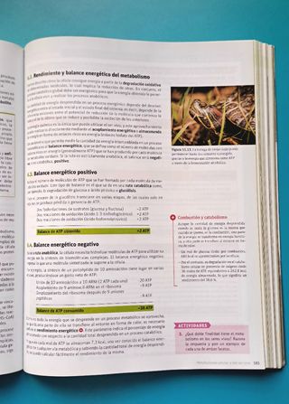 Biología. 2 Bachillerato. Savia