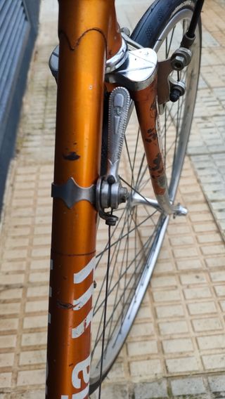Bicicleta SUPERIA equipada CON ZEUS