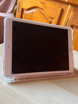 iPad 8va Generación Rosa