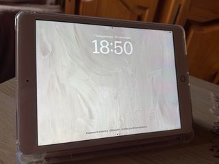 iPad 8va Generación Rosa