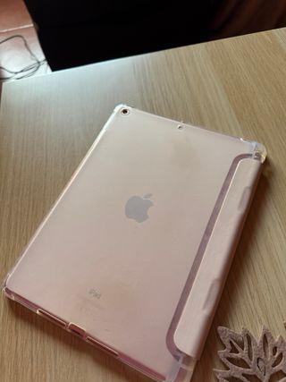 iPad 8va Generación Rosa