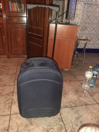 Maleta con ruedas y asa extensible