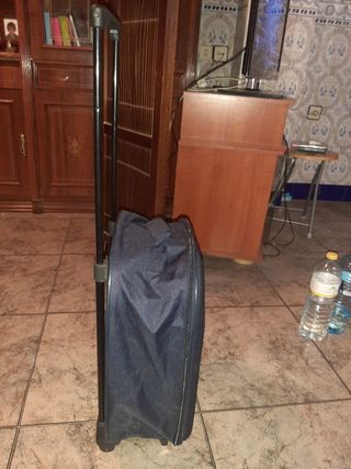 Maleta con ruedas y asa extensible