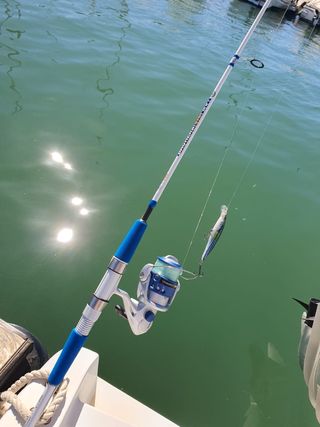 Equipo de pesca completo, JIGGING, CURRICAN 
