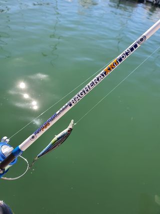 Equipo de pesca completo, JIGGING, CURRICAN 