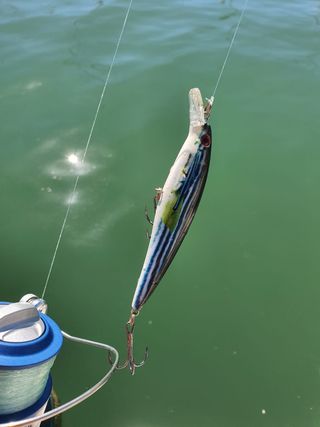 Equipo de pesca completo, JIGGING, CURRICAN 