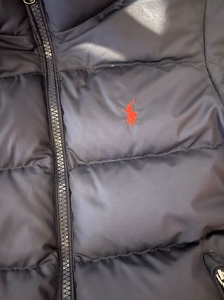 Plumas Ralph Lauren Azul Oscuro 