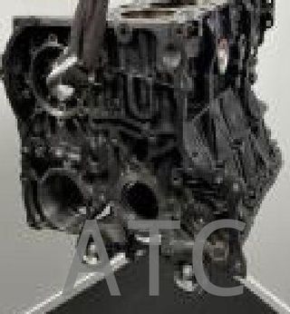 Motor Mercedes 651955